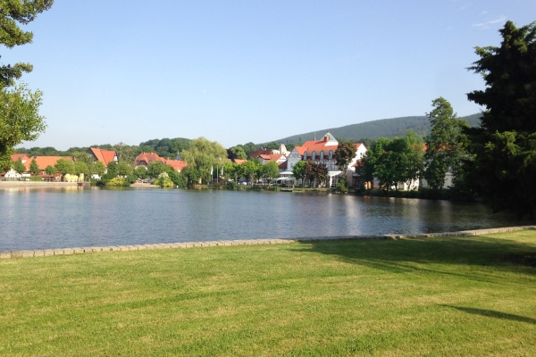 Hotel Landhaus Zu den Rothen Forellen (Ilsenburg)